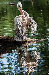 Steam商店页文字描述新规 禁止为其他商店或游戏打广告